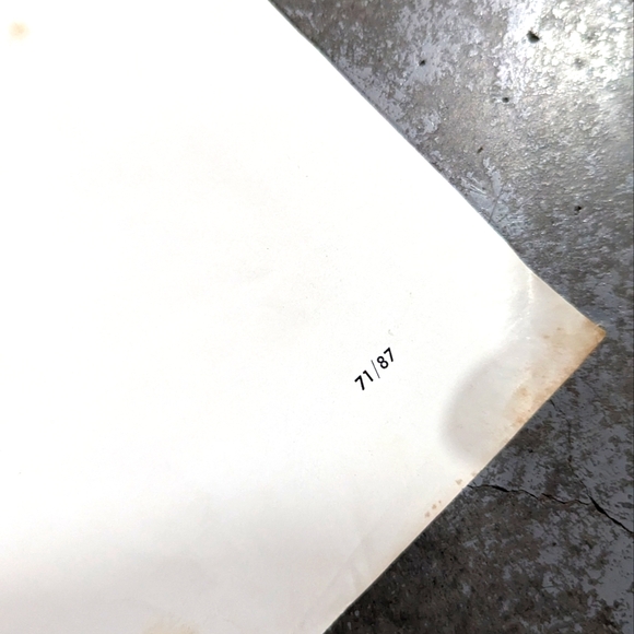 Vintage Rare 1971 Original Walt Disney $1,000,000 Golden Duck Movie Promo Poster - Picture 5 of 9